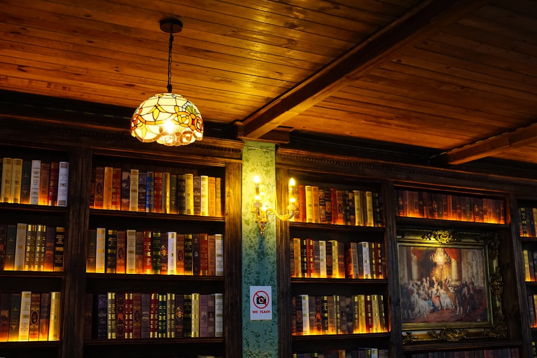 A library with wooden shelves lined with books, in warm afternoon light
